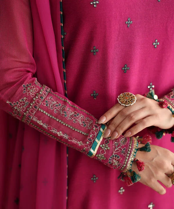 3 Piece - Embroidered Blended Net Suit