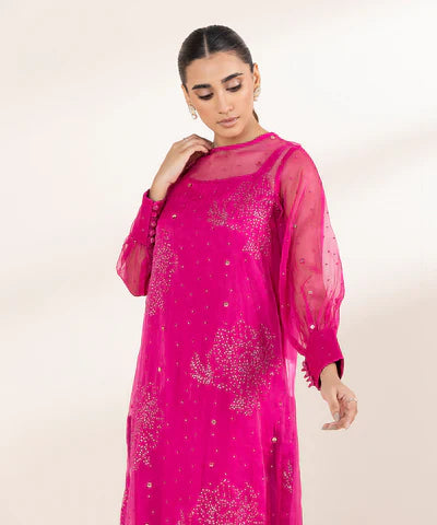 2 Piece - Embroidered Organza Suit