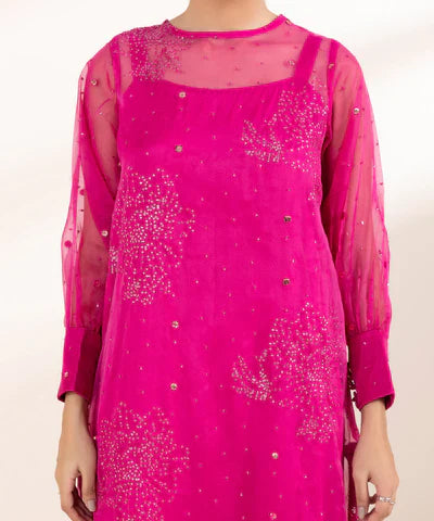 2 Piece - Embroidered Organza Suit